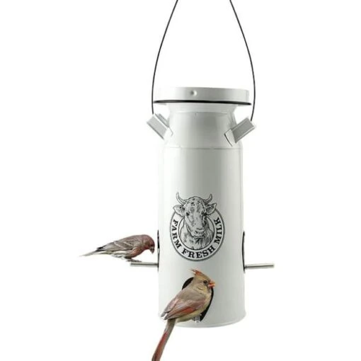 Milkhouse Vintage White Milk Can Bird Seed Feeder -Pet Supplies Store milkhouse vintage white milk bird seed feeder 25 01 50 00 feeders woodlink birdhousesandbaths 494