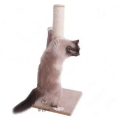 Olga Cat Scratching Post -Pet Supplies Store olga1000px 1