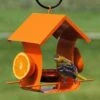 Orange Metal Six Station Oriole Feeder -Pet Supplies Store orange metal six station oriole feeder 00 01 25 bird feeders woodlink birdhousesandbaths 770