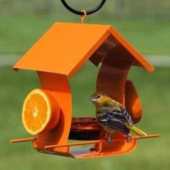Orange Metal Six Station Oriole Feeder