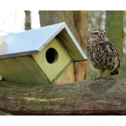 ESSCHERT DESIGN Owl Or Kestrel Extended Horizontal House -Pet Supplies Store owl kestrel extended horizontal house 75 01 100 00 bird esschert design birdhousesandbaths 583
