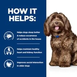 Hill's Prescription Diet Canine B/d Ageing & Alertness Care - Chicken -Pet Supplies Store pd bd dog bk28322m how helps uk 1