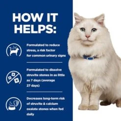 Hill's Prescription Diet Feline C/d Urinary Stress - Salmon -Pet Supplies Store pd cd stress cat bk32592 bk26383m bk26384m bk27182m bk32116m bk31805 how helps uk 8