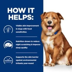 Hill’s Prescription Diet Canine Derm Complete Wet Dog Food 15 Hill’s Prescription Diet Canine Derm Complete Wet Dog Food -Pet Supplies Store pd derm complete dog bk30270m bk31389 how helps uk 8