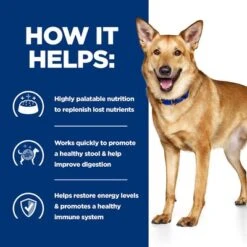 Hill's Prescription Diet Canine I/d Digestive Care - Chicken 15 Hill's Prescription Diet Canine I/d Digestive Care - Chicken -Pet Supplies Store pd id dog bk30978m bk31617 bk30920 how helps uk 6