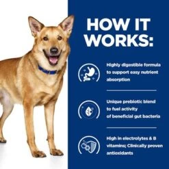 Hill's Prescription Diet Canine I/d Digestive Care - Chicken 14 Hill's Prescription Diet Canine I/d Digestive Care - Chicken -Pet Supplies Store pd id dog bk30978m bk31617 bk30920 how works uk 3