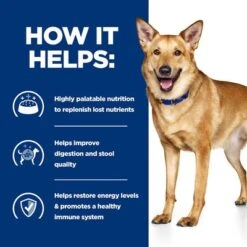 Hill’s Prescription Diet Canine I/d Digestive Care Stew - Chicken 15 Hill’s Prescription Diet Canine I/d Digestive Care Stew - Chicken -Pet Supplies Store pd id dog bk33557 how helps uk 8