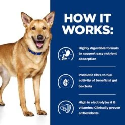 Hill’s Prescription Diet Canine I/d Digestive Care Stew - Chicken 16 Hill’s Prescription Diet Canine I/d Digestive Care Stew - Chicken -Pet Supplies Store pd id dog bk33557 how works uk 1