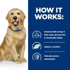 Hill's Prescription Diet Canine J/d Joint Care - Chicken -Pet Supplies Store pd jd dog bk25363m bk30425 how works uk 6