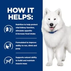 Hill’s Prescription Diet Canine K/d Mobility + Kidney + Joint Care -Pet Supplies Store pd kd dog bk27181m bk32703 how helps uk 1