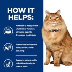 Hill’s Prescription Diet Feline K/d+Mobility Kidney+Joint Care -Pet Supplies Store pd kd mobility cat bk24069m bk27533m how helps uk 6