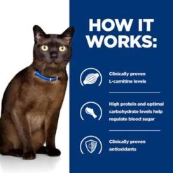 Hill's Prescription Diet Feline M/d Diabetes Care - Chicken 14 Hill's Prescription Diet Feline M/d Diabetes Care - Chicken -Pet Supplies Store pd md cat bk24619m bk28760 how works uk 8