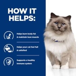 Hill's Prescription Diet Feline R/d Weight Reduction - Chicken -Pet Supplies Store pd rd cat bk24502m bk29689 how helps uk 3