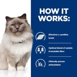 Hill's Prescription Diet Feline R/d Weight Reduction - Chicken -Pet Supplies Store pd rd cat bk24502m bk29689 how works uk 3