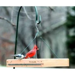 3 In 1 Platform Bird Feeder -Pet Supplies Store platform bird feeder 25 01 50 00 feeders woodlink birdhousesandbaths 991