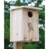 Premium Screech Owl Or Kestrel House -Pet Supplies Store premium screech owl house kestrel 25 01 50 00 bird bestnest birdhousesandbaths 969