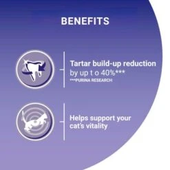 Purina ONE Adult Salmon & Whole Grains Dry Cat Food -Pet Supplies Store purina one adult lachs mit vollkorngetreide uk 07 1