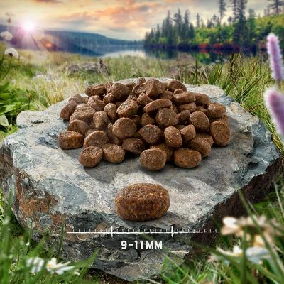 2 X 6.5kg Purizon Dry Cat Food - €10 Off!* 9 2 X 6.5kg Purizon Dry Cat Food - €10 Off!* - Image 7