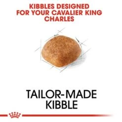 Royal Canin Cavalier King Charles Adult -Pet Supplies Store rc bhn cavalierkingcharles cv eretailkit 2 5