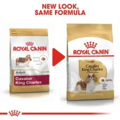 Royal Canin Cavalier King Charles Adult -Pet Supplies Store rc bhn cavalierkingcharles cv eretailkit 4 2