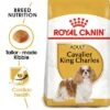 Royal Canin Cavalier King Charles Adult 2 Royal Canin Cavalier King Charles Adult -Pet Supplies Store rc bhn cavalierkingcharles mv eretailkit 8
