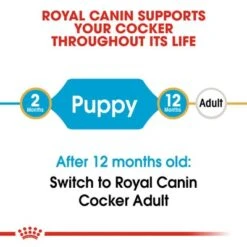 Royal Canin Cocker Spaniel Puppy 17 Royal Canin Cocker Spaniel Puppy -Pet Supplies Store rc bhn puppycocker cv eretailkit 1 7