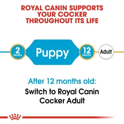 Royal Canin Cocker Spaniel Puppy 10 Royal Canin Cocker Spaniel Puppy - Image 8