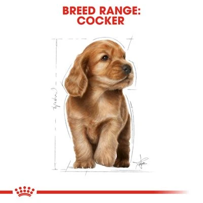 Royal Canin Cocker Spaniel Puppy 8 Royal Canin Cocker Spaniel Puppy - Image 6