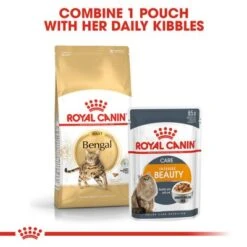 Royal Canin Bengal Adult -Pet Supplies Store rc fbn bengal cv eretailkit 4 2