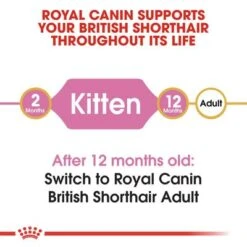 Royal Canin British Shorthair Kitten 11 Royal Canin British Shorthair Kitten -Pet Supplies Store rc fbn kittenbritishshorthair cv1 001 uk english 9