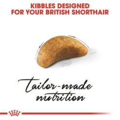 Royal Canin British Shorthair Kitten 9 Royal Canin British Shorthair Kitten -Pet Supplies Store rc fbn kittenbritishshorthair cv3 017 uk english 9