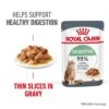 Royal Canin Digestive Care In Gravy -Pet Supplies Store rc fcn digestivecarepouchgravy 1 en gb 6