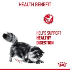 Royal Canin Digestive Care In Gravy 14 Royal Canin Digestive Care In Gravy -Pet Supplies Store rc fcn digestivecarepouchgravy 6 en gb 3