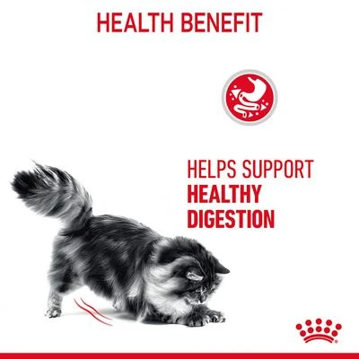 Royal Canin Digestive Care In Gravy 7 Royal Canin Digestive Care In Gravy - Image 5