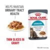 Royal Canin Urinary Care In Gravy -Pet Supplies Store rc fcn urinarypouchgravy 1 en gb 8