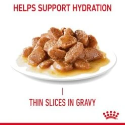 Royal Canin Urinary Care In Gravy 15 Royal Canin Urinary Care In Gravy -Pet Supplies Store rc fcn urinarypouchgravy 7 en gb 9