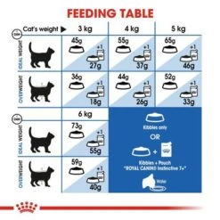 Royal Canin Indoor 7+ -Pet Supplies Store rc fhn indoor7 cv eretailkit 4 9