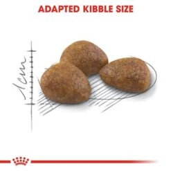 Royal Canin Outdoor 7+ -Pet Supplies Store rc fhn outdoor7 cv eretailkit 3 0