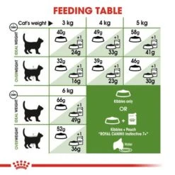 Royal Canin Outdoor 7+ -Pet Supplies Store rc fhn outdoor7 cv eretailkit 4 7