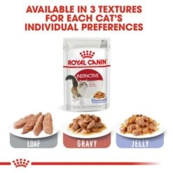 Royal Canin Instinctive In Jelly 14 Royal Canin Instinctive In Jelly -Pet Supplies Store rc fhn wet instinctivejelly cv eretailkit 5 9