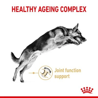 Royal Canin German Shepherd Adult 5+ 5 Royal Canin German Shepherd Adult 5+ - Image 3