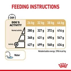 Royal Canin German Shepherd Adult 5+ 13 Royal Canin German Shepherd Adult 5+ -Pet Supplies Store rc spt dry germshep5 page 6 1 3