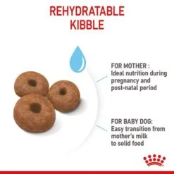 Royal Canin Giant Starter Mother & Babydog -Pet Supplies Store rc spt dry giantstart b1 page 07 1