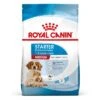Royal Canin Medium Starter Mother & Babydog