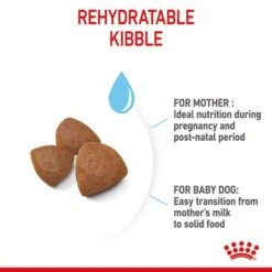 Royal Canin Medium Starter Mother & Babydog -Pet Supplies Store rc spt dry mediumstart b1 page 07 9