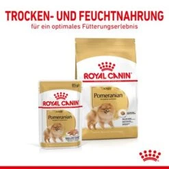 Royal Canin Pomeranian Adult -Pet Supplies Store rc spt dry pomad cv 3 de de 2