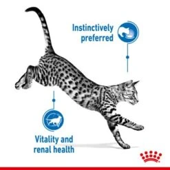 Royal Canin Indoor Sterilised 7+ In Gravy -Pet Supplies Store rc spt wet ind7stergravy page 3 1 6