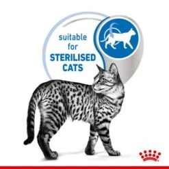 Royal Canin Indoor Sterilised In Gravy -Pet Supplies Store rc spt wet indstergravy page 4 1 9