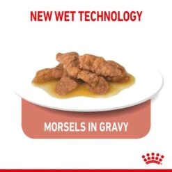 Royal Canin Indoor Sterilised In Gravy -Pet Supplies Store rc spt wet indstergravy page 5 1 1