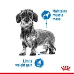 Royal Canin Light Weight Care Mousse -Pet Supplies Store rc spt wet lightweightallsize page 3 9